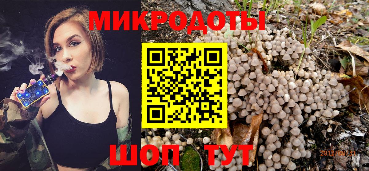 Галлюциногенные грибы Cubensis  Вход с VPN  Псилоцибиновые грибы мицелий  Анжеро-Судженск 